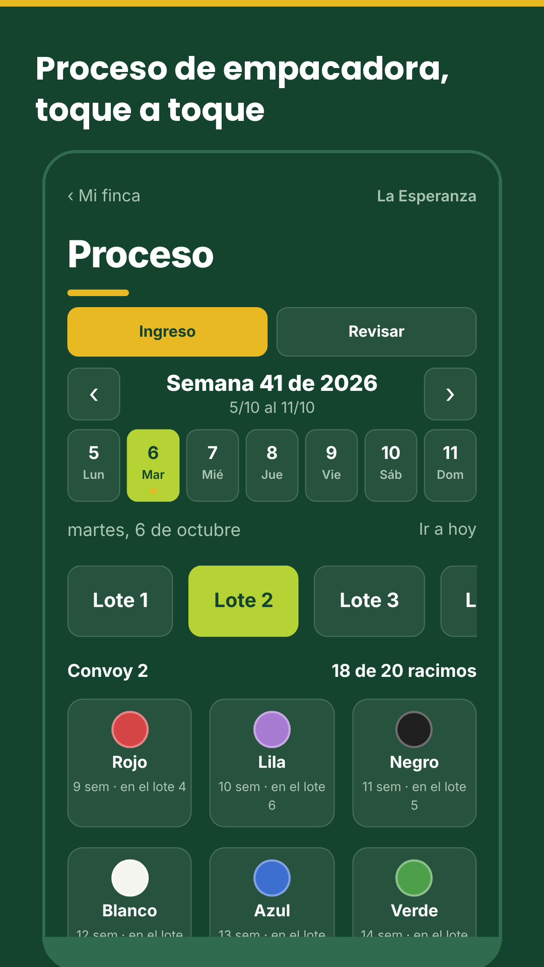 Proceso
