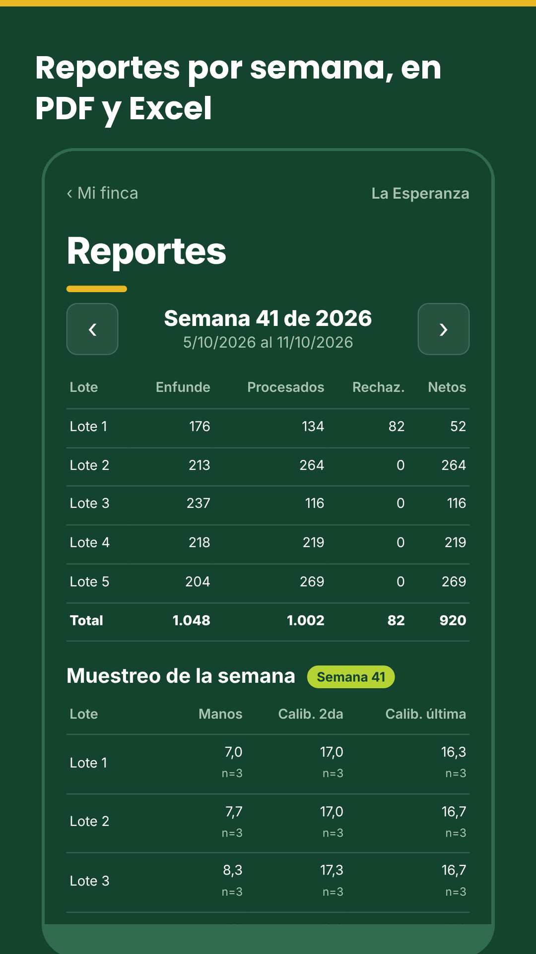 Reportes